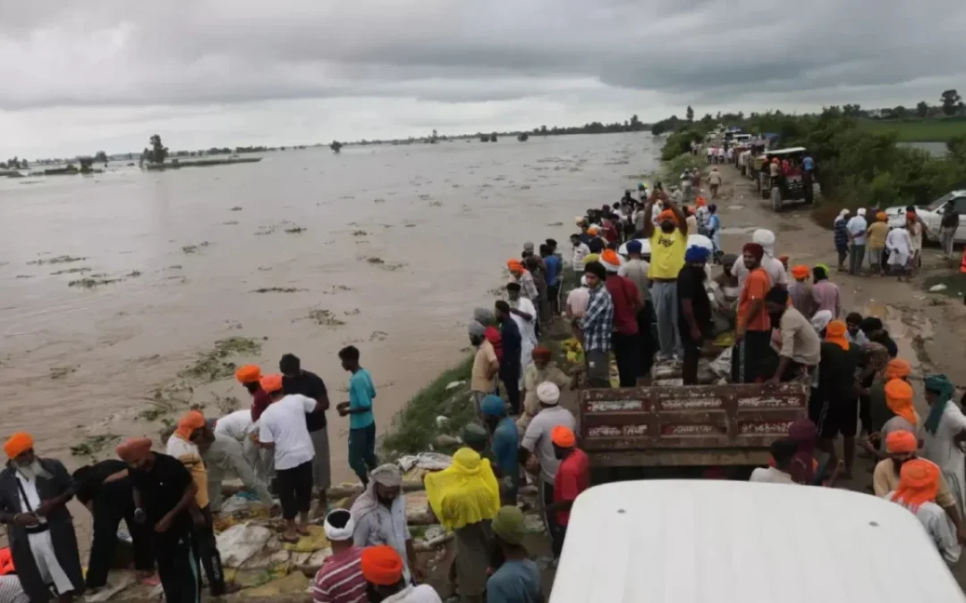Punjab declared disaster-hit, 30 people died
